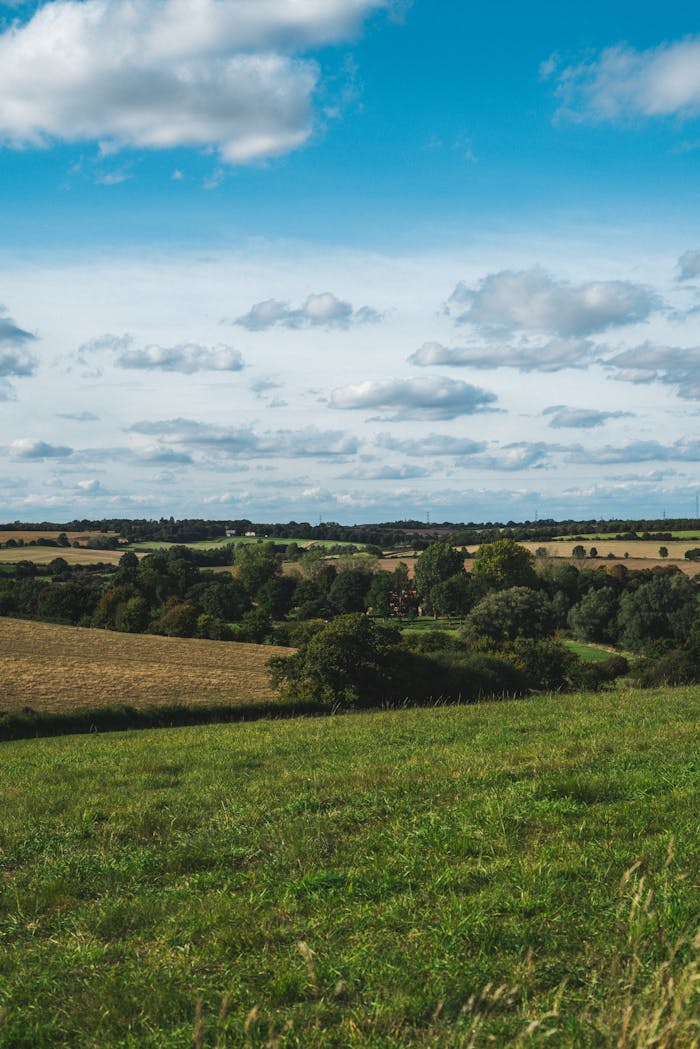 Services Expansive countryside view with rolling fields and a vibrant sky.